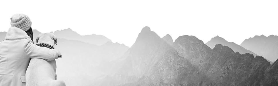 Набір для плетіння паракорду 550: ошийник для собак, інструкція, подарунок DIY