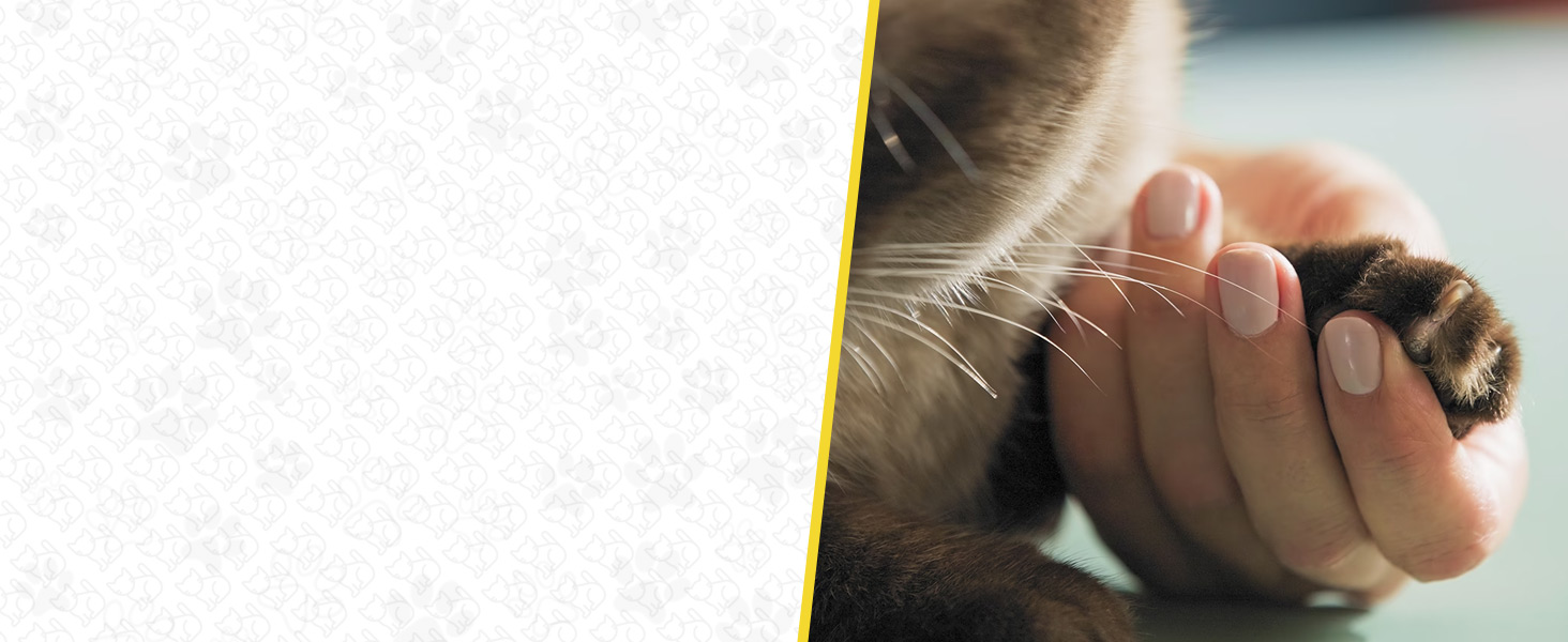 Шліфувальник кігтів для собак Candure: тихий, акумуляторний, з LED-підсвічуванням та змінним насадженням. Підходить для собак всіх розмірів (XS, жовтий)