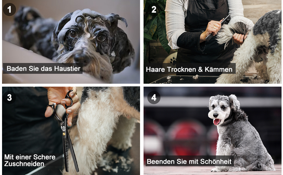 Набір професійних ножиць для грумінгу собак CIICII 10-в-1: безпечні, з різними типами лез для собак та котів