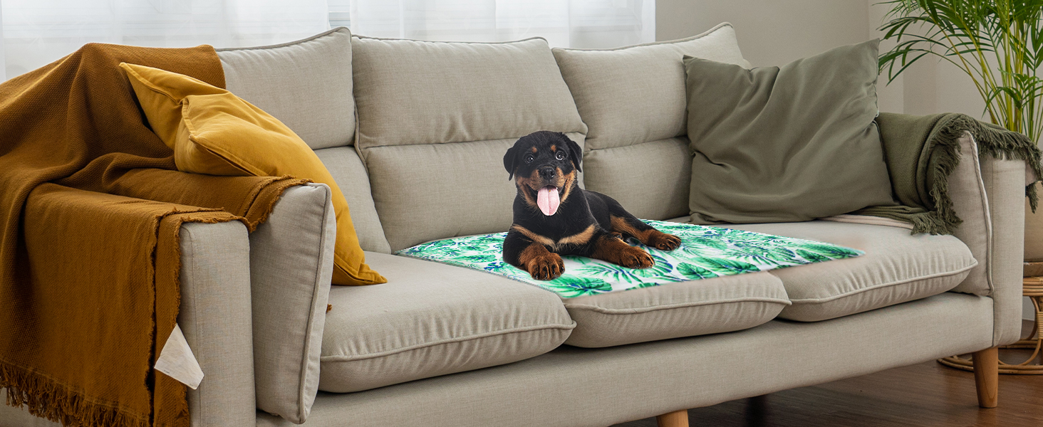 Кілим-охолоджувач для собак та котів Ninonly 50 x 65 см. Самостійно охолоджуючий, з нетоксичним гелем, вологостійкий, для дому та вулиці