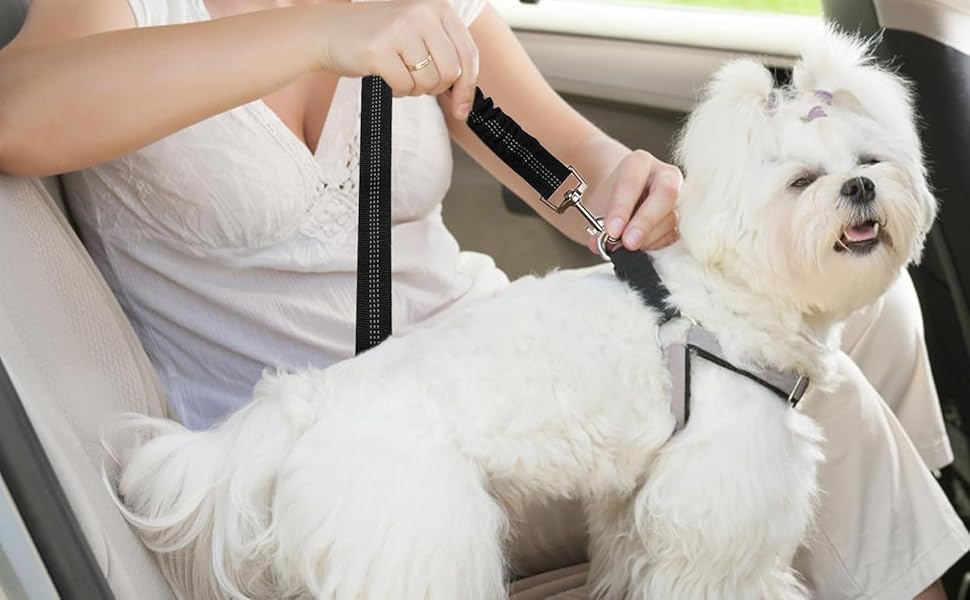 Автомобільний поводок для собак, безпечний, регульований, еластичний, 2 шт. (Червоний)