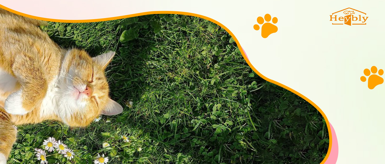 Кігтеточка-вежа для котів Heybly, 180 см, сірий, з 2 платформами, 2 будиночками, 2 гамаками, корзиною та дряпалкою HCT034G