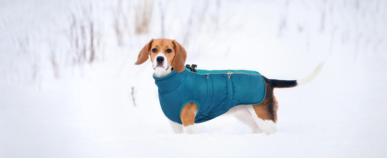 Водонепроникний теплий зимовий одяг для собак - куртка-манжетка з отвором для шлейки, камуфляж Olive Drab (3XL)