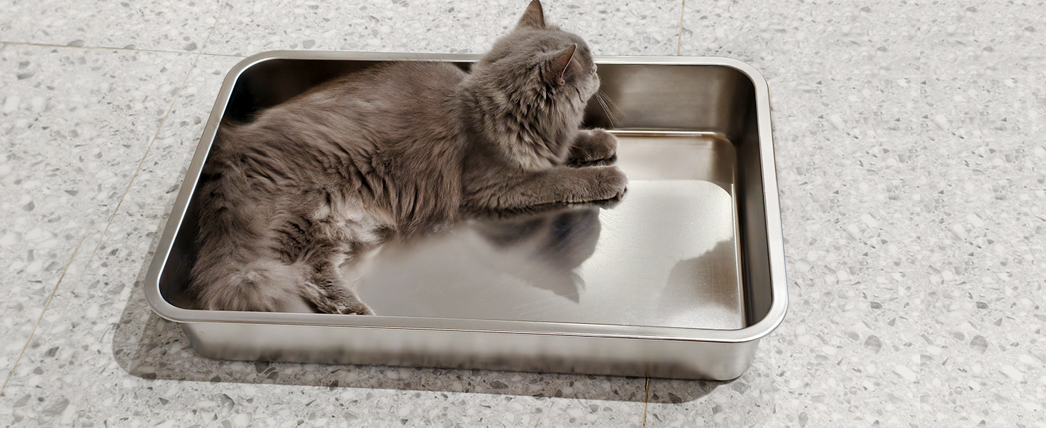 IKITCHEN Великий лоток для котів з нержавіючої сталі (50x35x20 см), туалет для котів та кроликів, без запаху, без плям, антикорозійний, з гладкою поверхнею та антиковзким гумовим дном