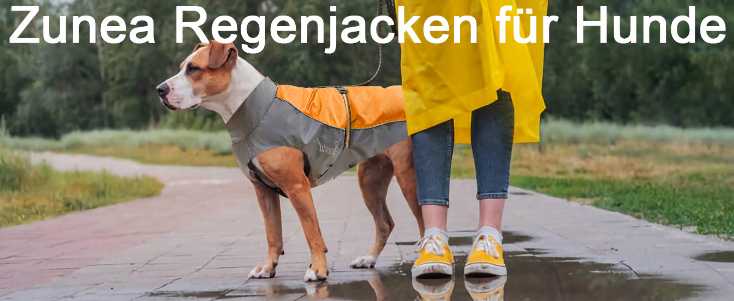 Водонепроникний дощовик для собак середніх та великих порід Zunea, відбиваючий, легкий, вітронепроникний, з сіткою всередині, захист від дощу, для прогулянок на відкритому повітрі, зелений, 3XL