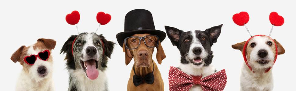 Елегантний нашийник та поводок для собак HALFSUMO з діамантами, з м'якого велюру та шкіри, регульований, для малих та середніх порід, рожевий колір