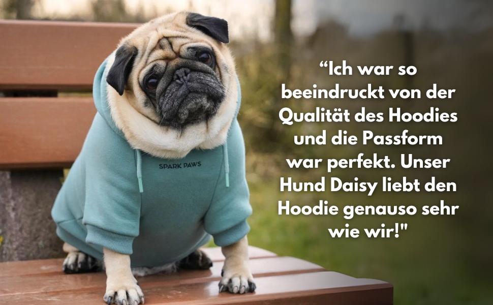 Світшот для собак Spark Paws з капюшоном, преміум-якість, м'який велюр, комфортний крій, заспокійливе флісове підкладка, підходить для всіх порід, багатобарвний, розмір L (аквамарин, S: 2-5кг)