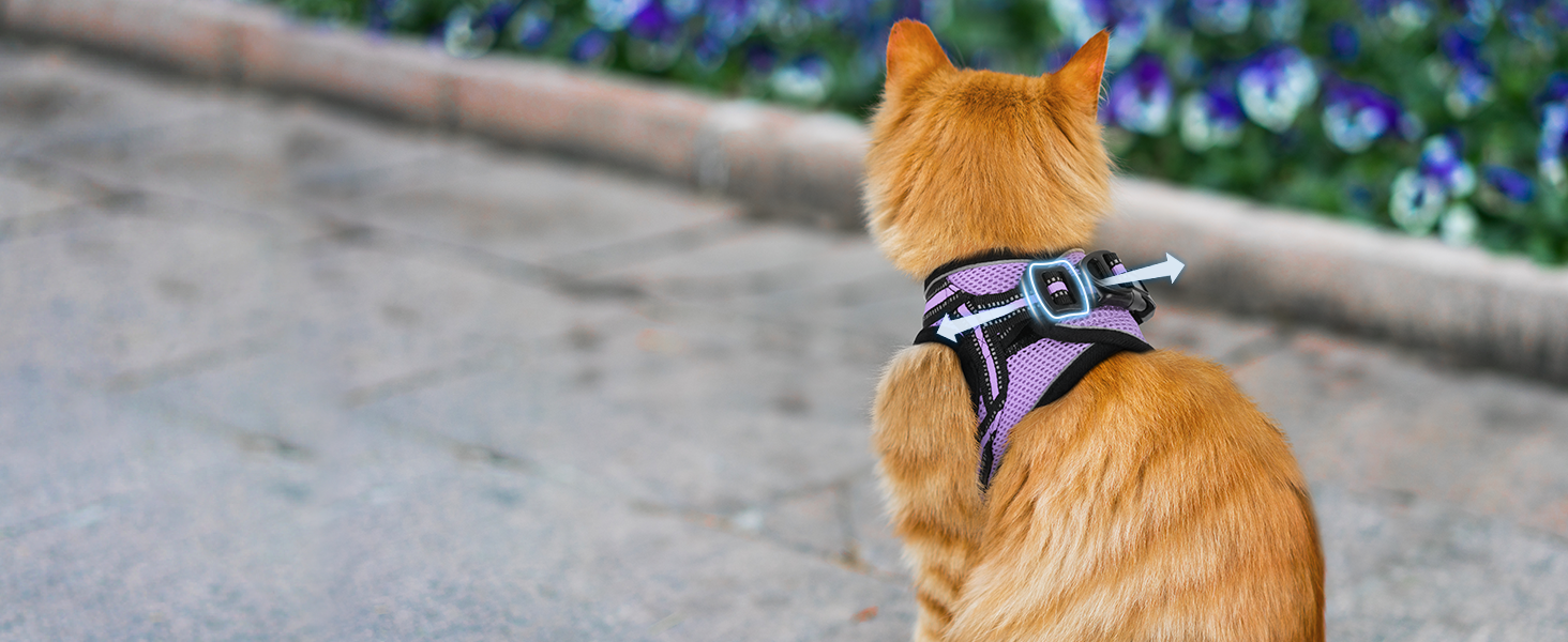 Нашийник та поводок для котів Rabbitgoo: безпечний, регульований, з відбиваючими смугами, для кошенят та дорослих котів, розмір M, світло-фіолетовий