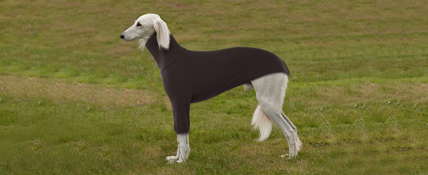 Пуловер з коміром-стійкою для гончаків, теплий зимовий одяг, куртка для гончаків, одяг для собак середнього розміру, теплий пуловер для собак (M, Коричневий)