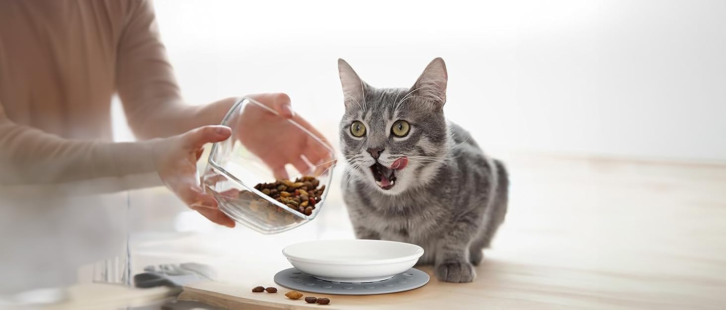 Набір мисок для котів на 6 місць - 6 мисок з кераміки та підставки, широкі миски для котів, що зменшують подразнення вусів, плоскі миски для кошенят та дрібних тварин