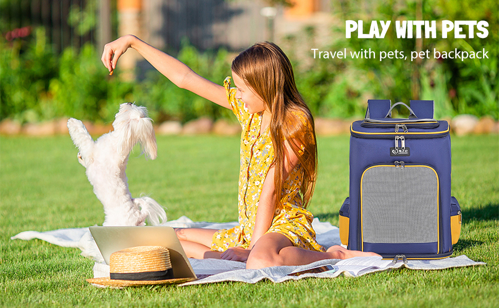 Рюкзак для собак та котів PETCUTE, дихаючий, з висувною підстилкою, прозоре вікно, складаний, з безпечним шнуром, для подорожей, Malachitgrün+Weiß