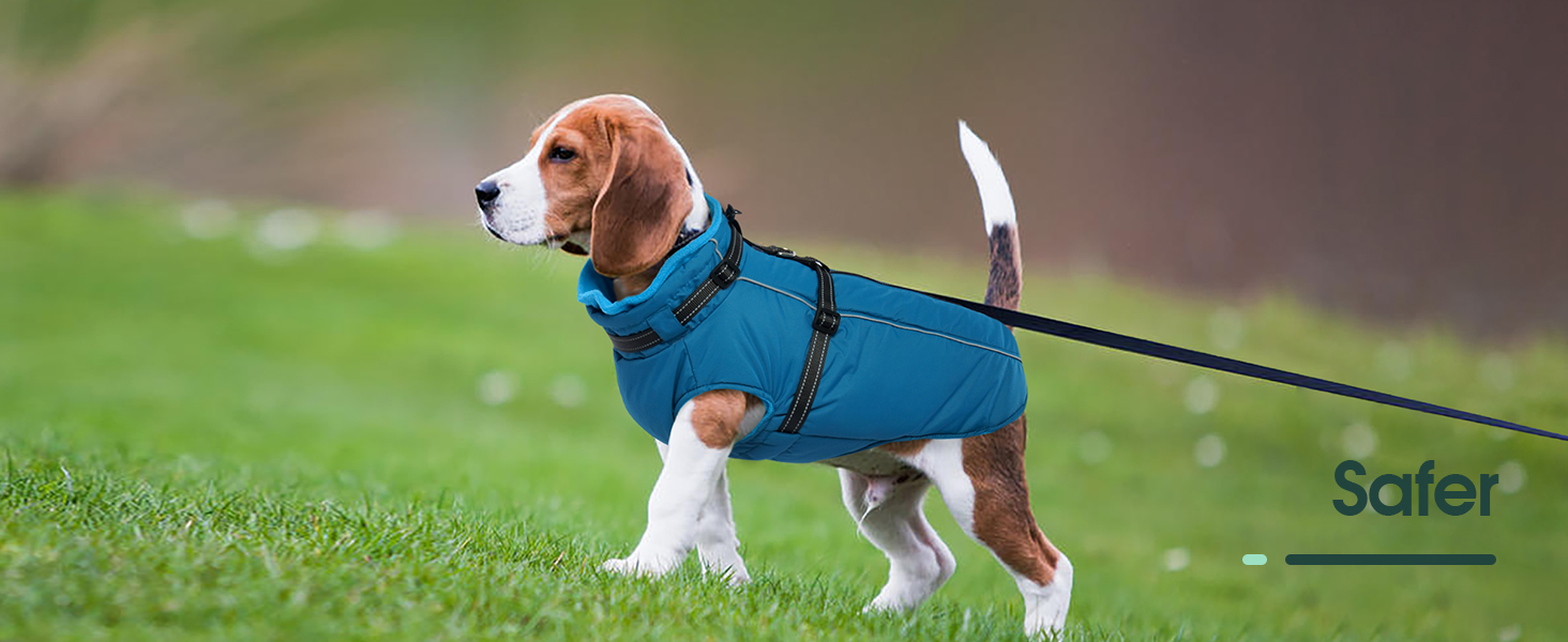 Водонепроникний теплий зимовий пуховик для собак середнього розміру Kuoser, чорний, M (Обхват грудей: 53 см, Обхват шиї: 38 см)