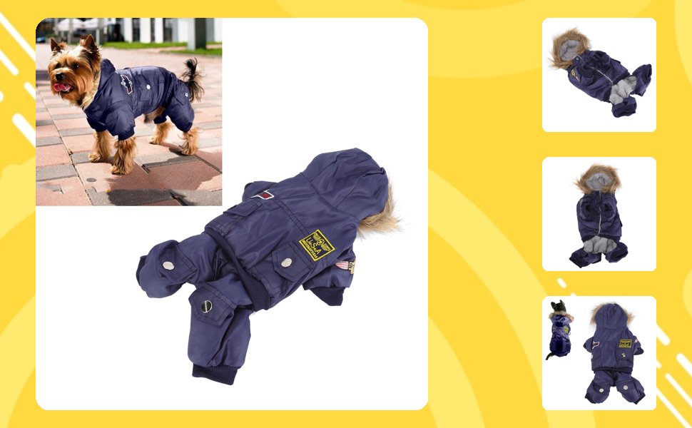 GLOGLOW Зимова куртка для собак, тепла, з капюшоном, для маленьких собак (L, блакитна)