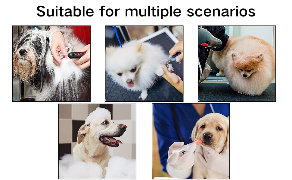 Нашийник для собак 3 шт., міцний, з регульованим тросом та D-кільцями, для грумінгу та купання, блакитний