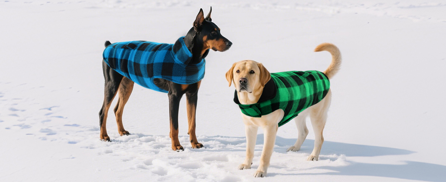 Зимовий теплий дощовик для собак XS, флісова куртка, дощовик для собак, 2 в 1, водонепроникний, вітрозахисний, з отвором для повідка, зелений