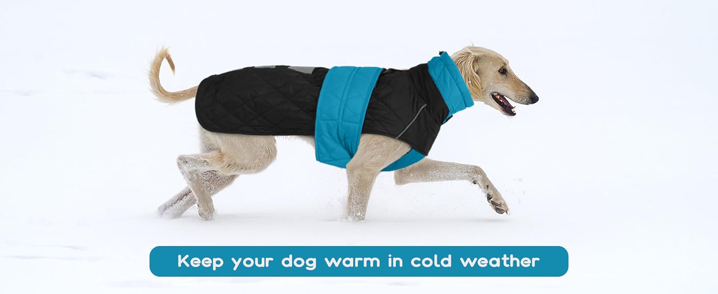 Тепла куртка для грейхаундів та інших породистих собак, флісова підкладка, блакитна