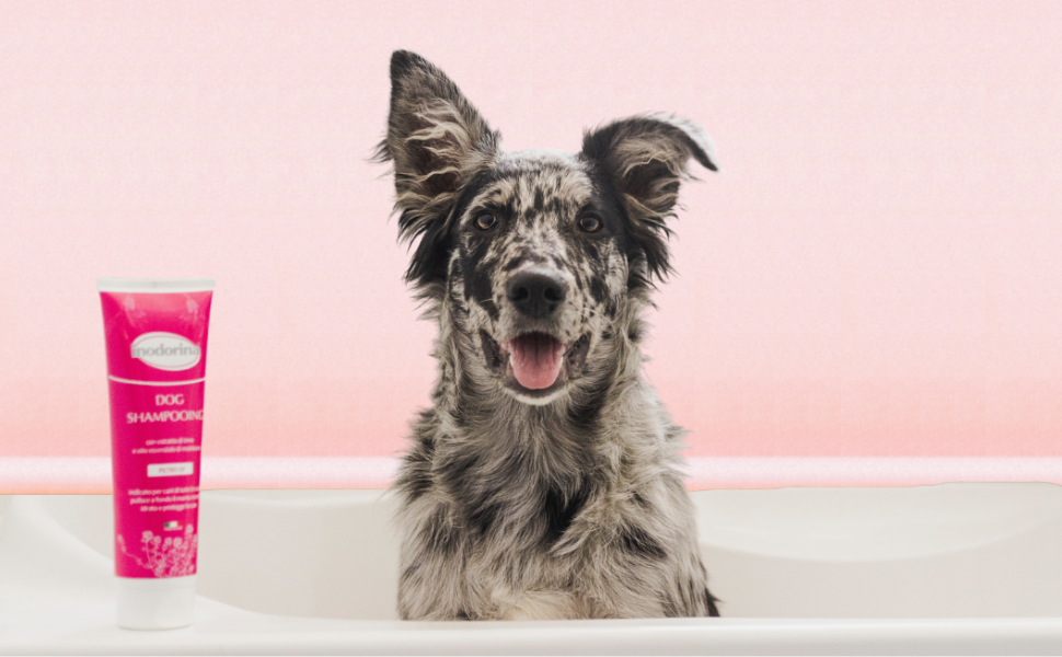 Індорона Дешедер для маленьких собак (розмір L) - гребінець для підшерстка та надлишкового волосся. Ідеально для полірування та видалення ковтунів. Підходить для короткого, середнього та довгого волосся