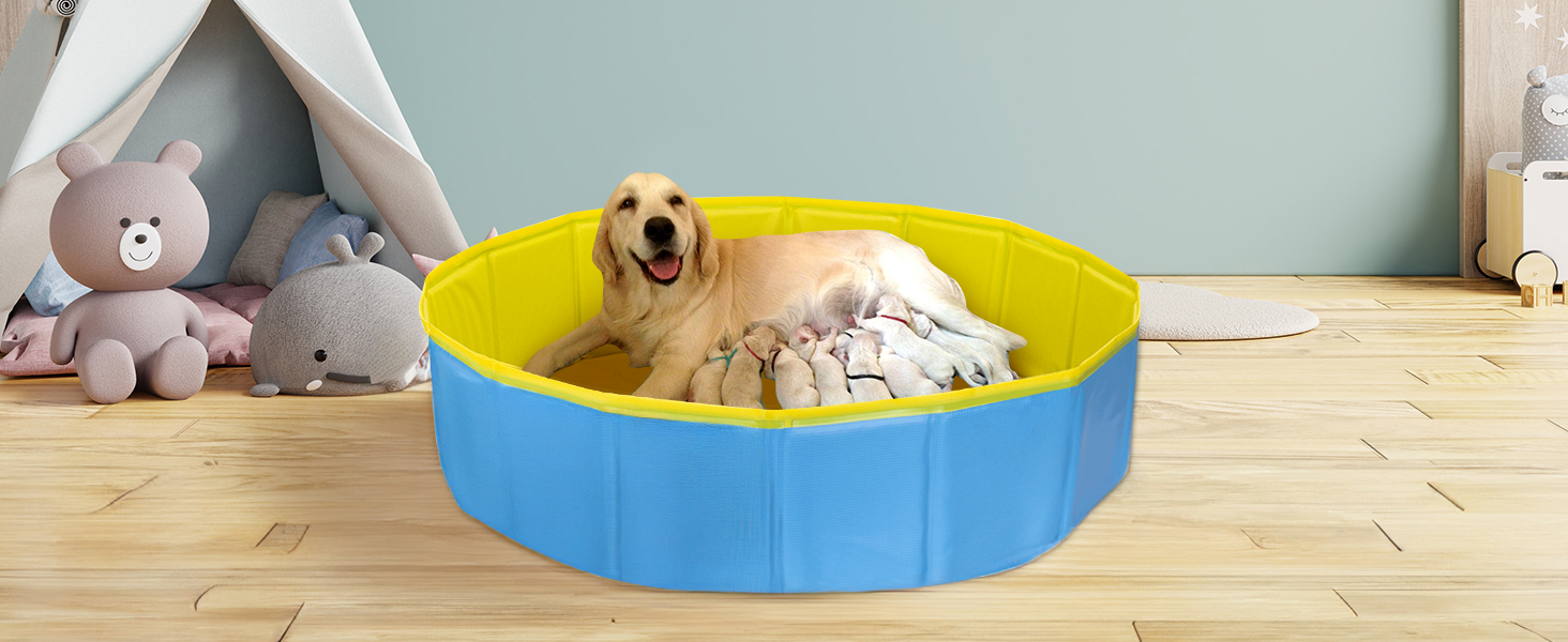 Басейн для собак Nobleza: складаний, 80x20 см, блакитний та жовтий, для великих та маленьких собак та котів