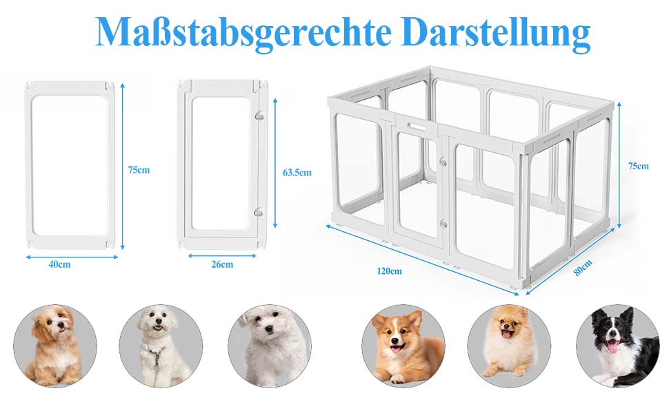 Кіяниця для цуценят SISKEYCOOC 60 см, прозора, з дверцятами, для собак середніх та маленьких порід, легка у догляді, для дому (10 шт.), біла