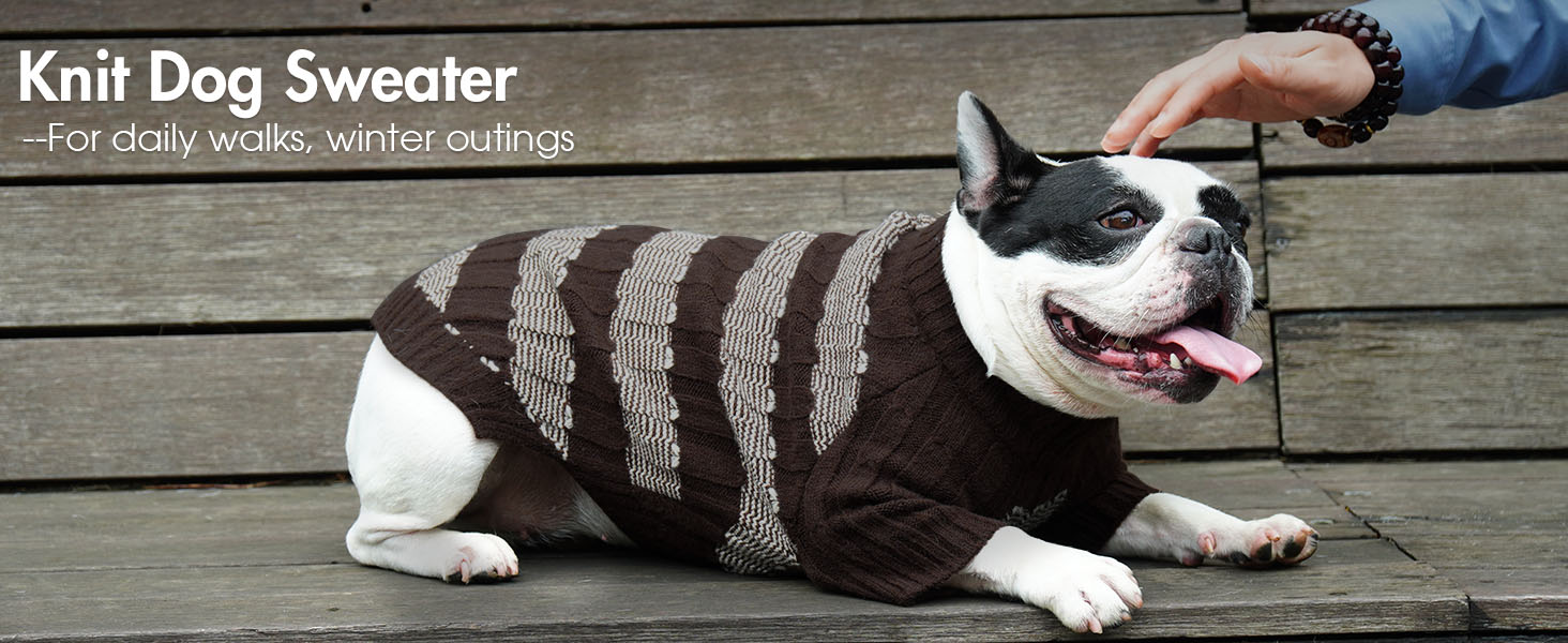 Теплий зимовий пуловер для собак маленьких порід з отвором для повідка, з малюнком 