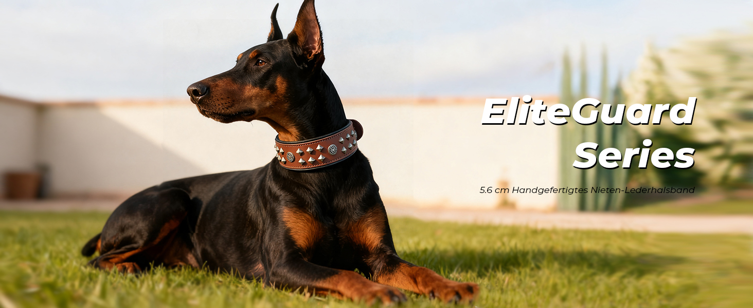 Нашийник EliteGuard для собак шкіряний, 5.6 см, ручна робота, з заклепками та сталевою фурнітурою, коричнево-золотий, 45.5-56 см
