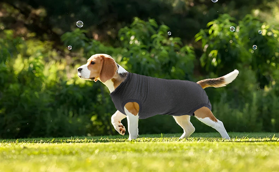 Операційний боді для собак: захист від лизання та ран, сірий. Ідеально після кастрації/операції, для собак різних порід.