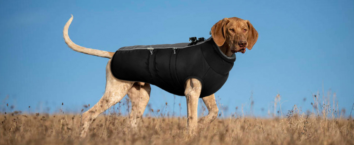 Водонепроникний зимовий одяг для собак, тепла куртка для собак з отвором для шлейки, для малих, середніх та великих собак, з відбиваючими смугами та блискавкою - чорний, XS