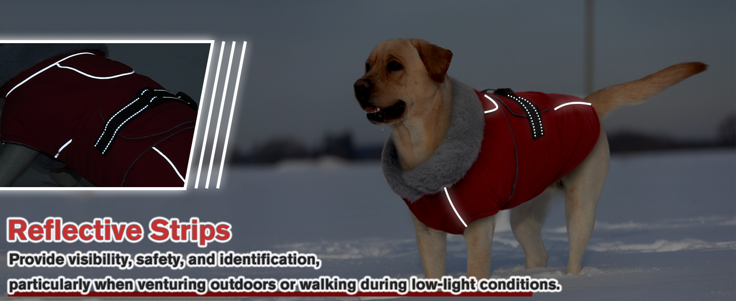 Тепла куртка для собак Lelepet: флісова підкладка, захист від вітру та води, для великих собак (L, Червоний)