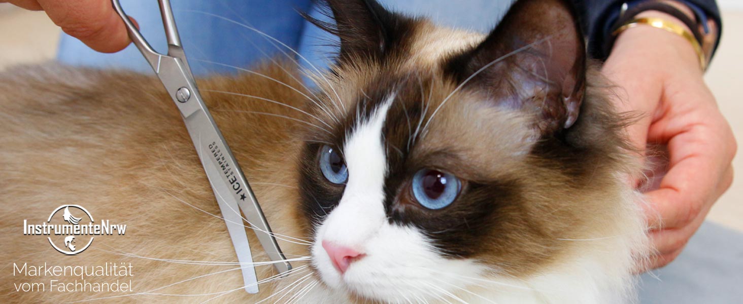 Набір для догляду за лапами та шерстю собак: 5-ти елементний набір професійних ножиць