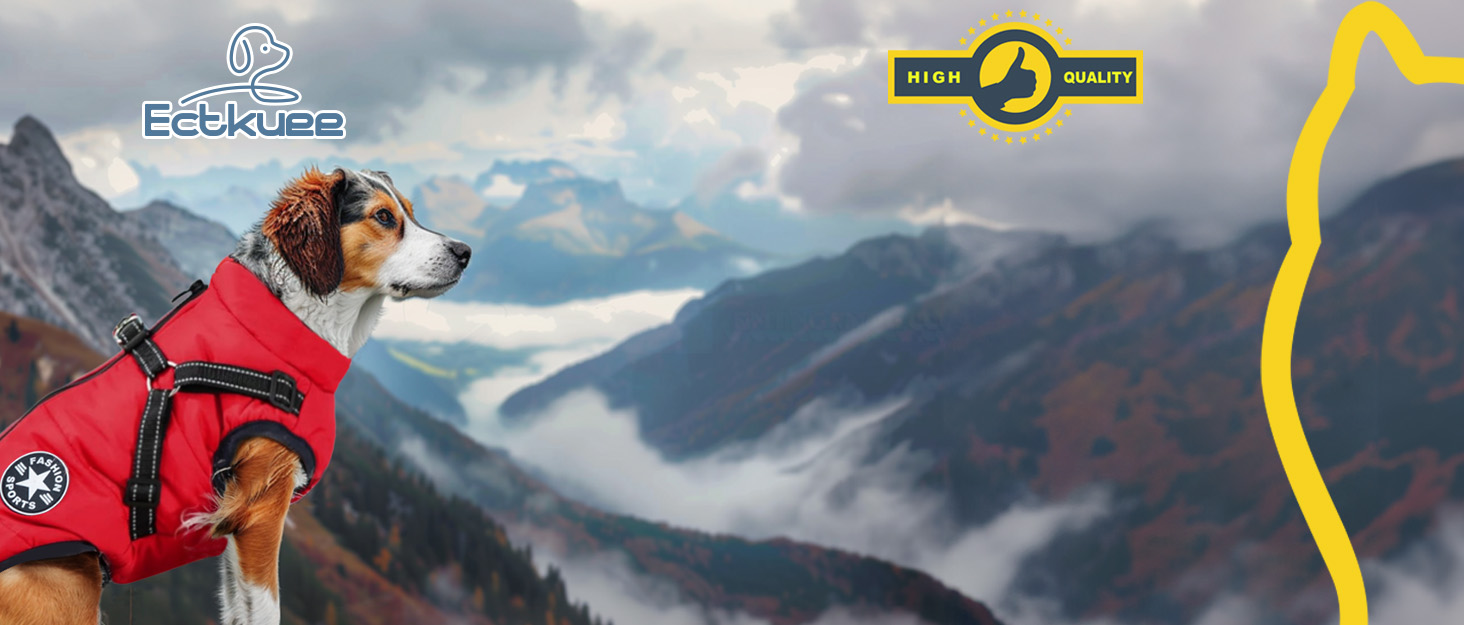 Зимовий жилет для собак Ectkuee з кріпленням для повідка, водонепроникний, для маленьких собак, машинне прання, світловідбиваючий, зелений (L)