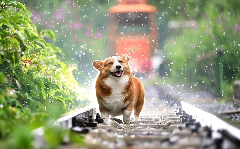 Ліжко для собак DaMi Luxus з великими стразами, овальне, біле, 35x73x63 см. Зручне, м'яке, для комфортного сну вашого улюбленця.