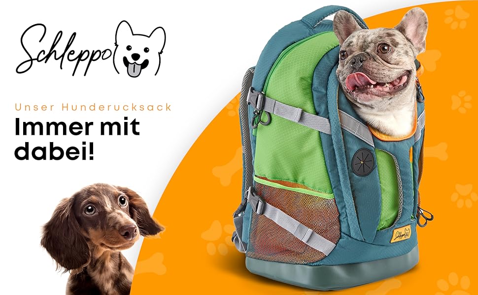 Швейцарський рюкзак для собак до 7 кг | Дихаючий рюкзак для собак для подорожей, міста та активного відпочинку | Водонепроникний транспортний рюкзак