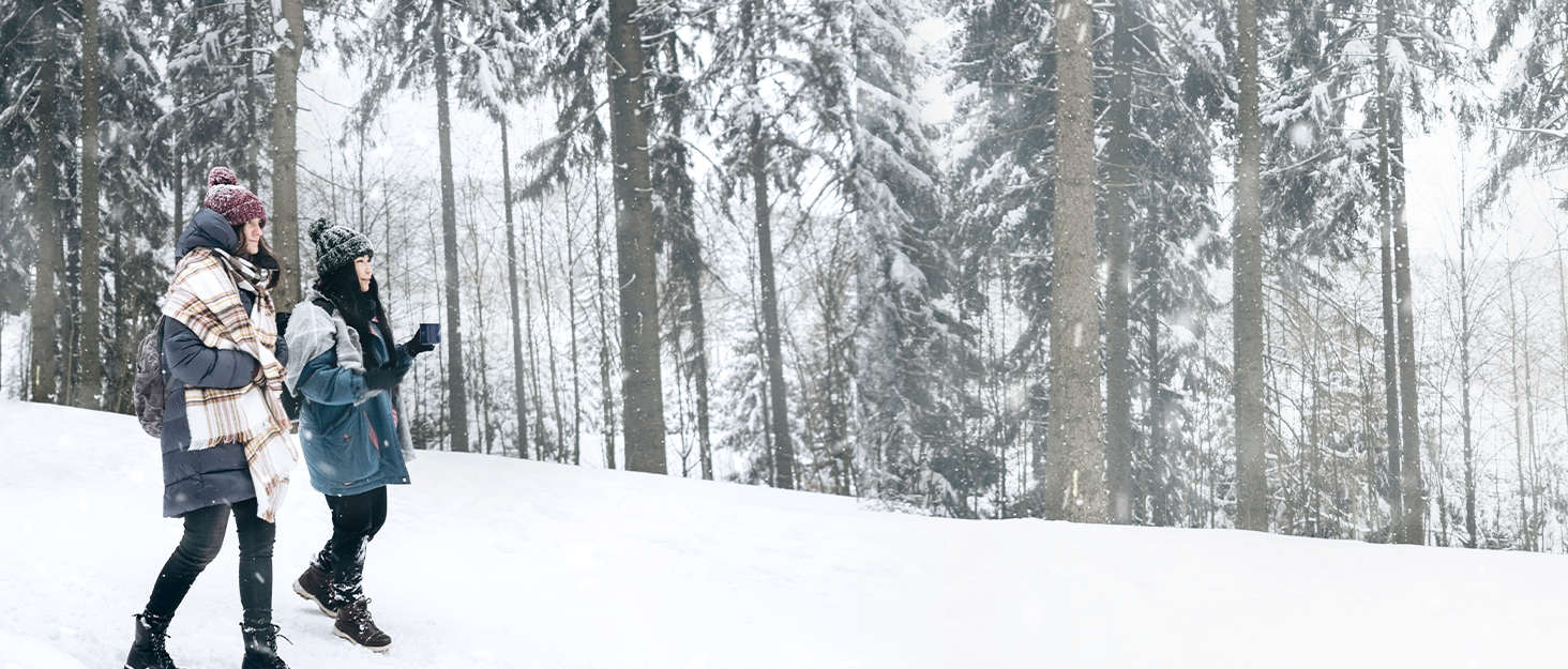 Легінси для верхової їзди HMILES для жінок, повний силіконовий покриття, висока талія, еластичні, з кишенею для телефону та петлями для ременя, сірі, розмір S