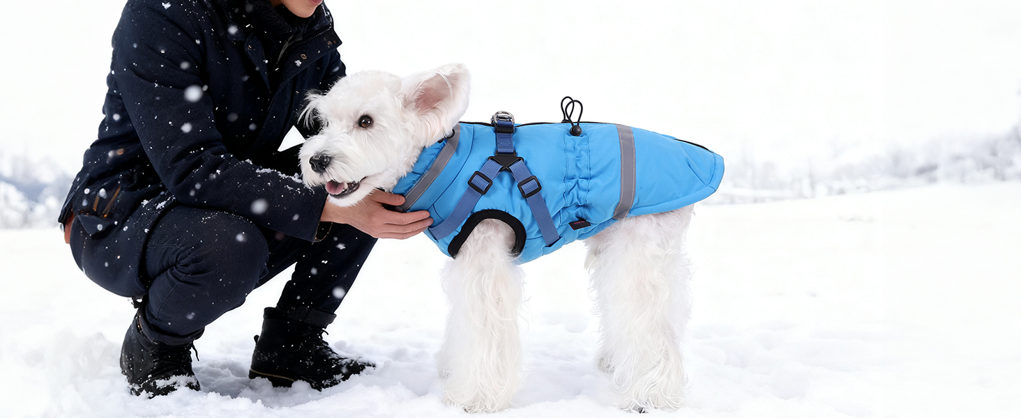 Водонепроникний зимовий одяг для собак та котів Poseca, червоний, XS