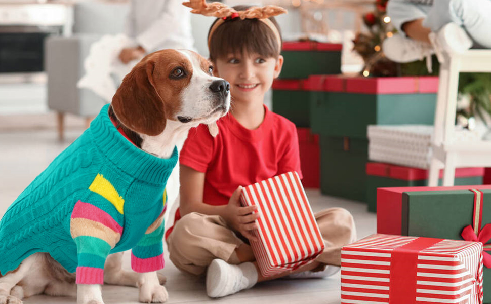 Теплий собачий светр з коміром для холодної погоди. Для чихуахуа, бульдога, такси, мопса, йорка (блакитно-зелений, S)