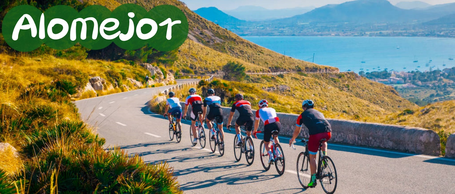 Кошик для собак та котів у велосипедний велосипед, передній кошик з металевою сіткою (дерев'яний колір)