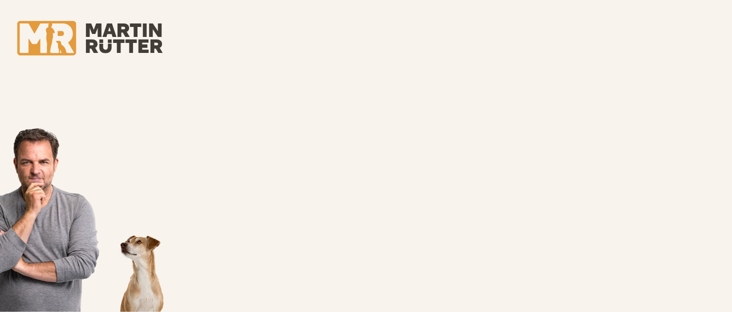 Килимок-заспокійник для собак Martin Rütter у формі кістки сірого кольору L - іграшка для собак з силікону BPA-free - килимок-заспокійник для ментального розвитку та розваг - придатний для миття в посудомийній машині та заморожування