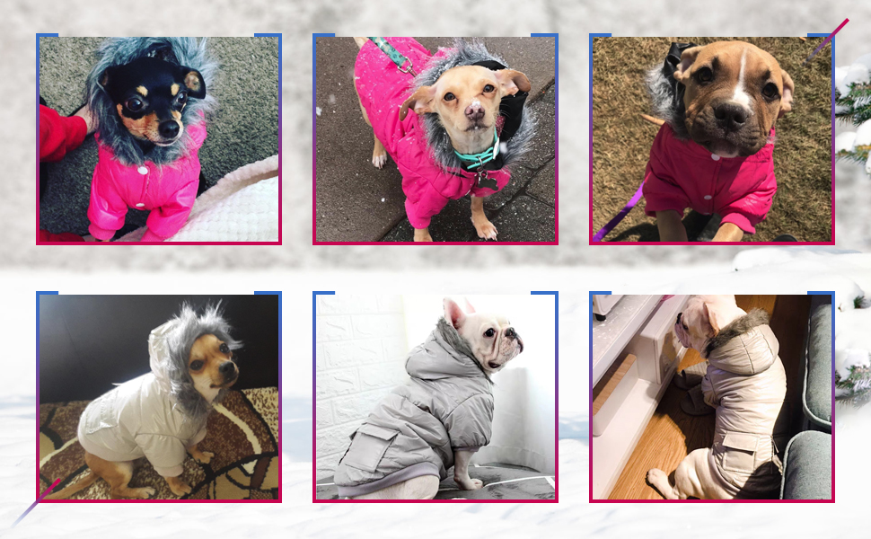 Водонепроникний зимовий одяг для собак Namsan Pet - теплий пуховик з капюшоном, сірий, розмір S (Bust: 9.8-11.8'')