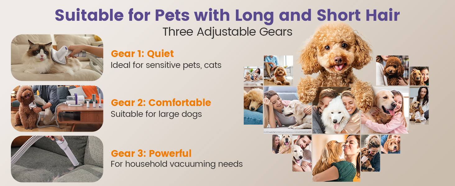 Набір для догляду за собакою Oneisall – пилосос для видалення шерсті з 4 насадками, фіолетовий