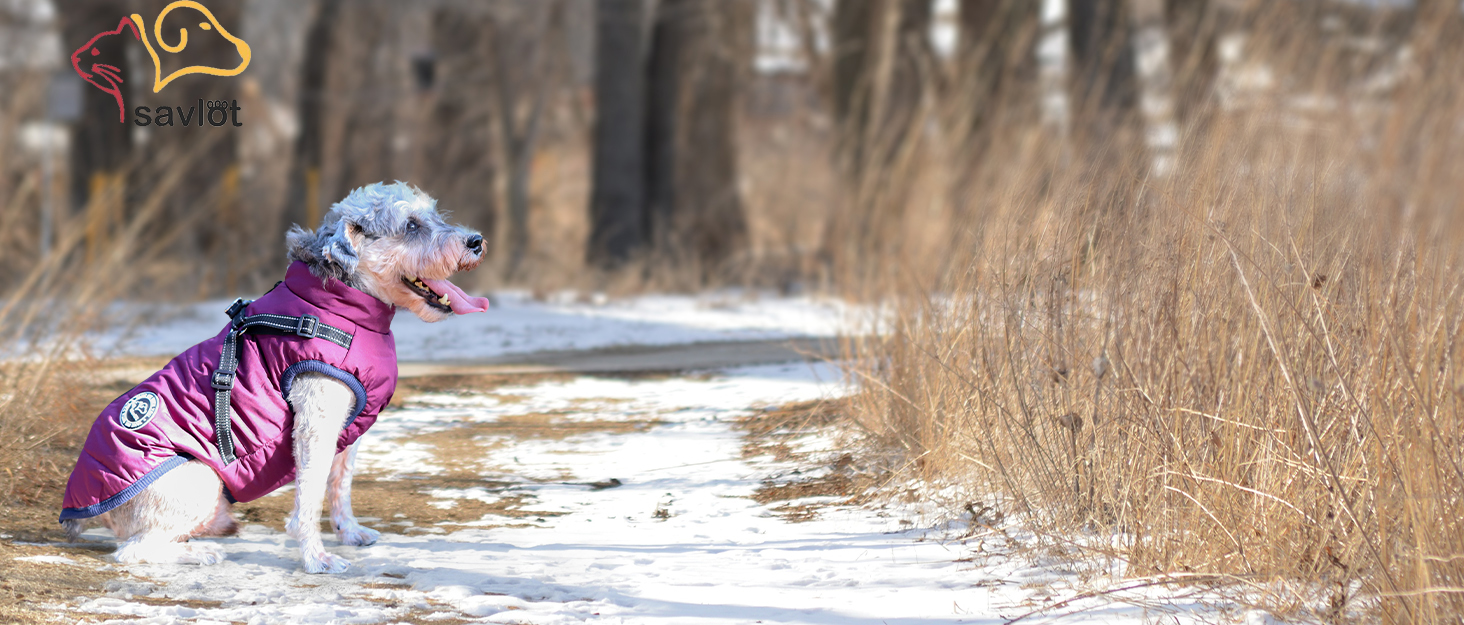 Зимова жилетка для собак - тепла жилетка для собак, курка для собак, одяг для домашніх тварин, для катання на лижах, без рукавів, з підкладкою, з нагрудником, темно-синій, розмір S