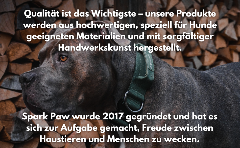 Тактичний нашийник для собак Spark Paws, армейський зелений, L, 5 см – міцний, преміум-якість, для великих і середніх порід