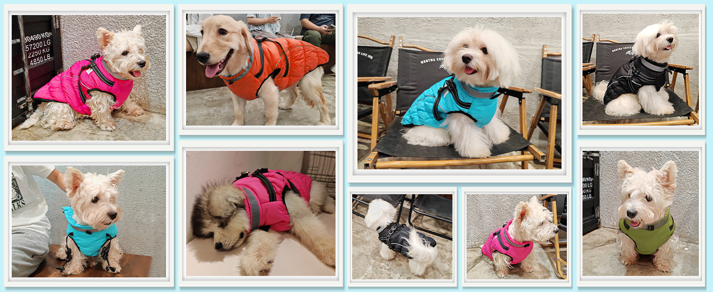 Зимовий одяг для собак HezzLuv: теплий водонепроникний одяг з LED-краваткою та світловідбиваючими смугами, розмір M, блакитний