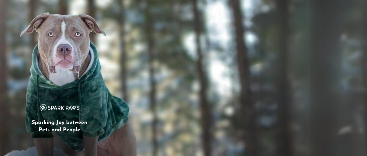 Теплий зимовий пуловер Spark Paws для собак – м'який, зручний пуловер для малих, середніх та великих собак (Pine Green, M) – підходить для Французьких бульдогів, Пітбулів, сук та котиків