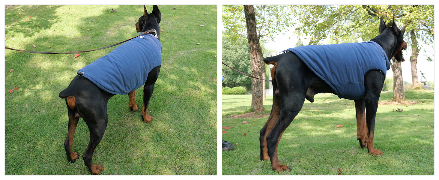 Водонепроникна флісова жилетка для собак Lovelonglong - чорна, 3XL