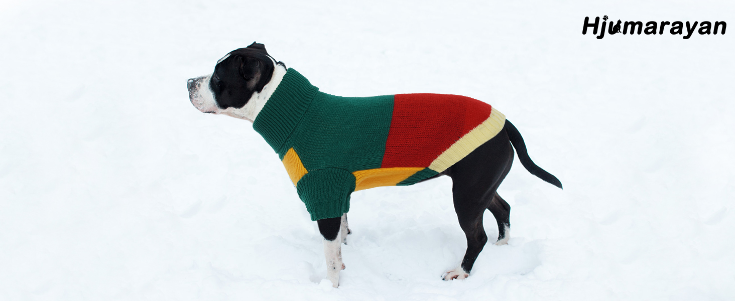 Вовняний пуловер для собак Hjumarayan, вінтажний стиль, для маленьких собак, зелений (XS)