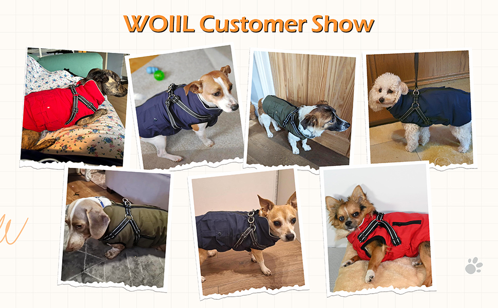 Зимова куртка для великих собак, водонепроникний дощовик з шлейкою та блискавкою, зелений, XL для Golden Retriever, Labrador, Німецької вівчарки XL зелений