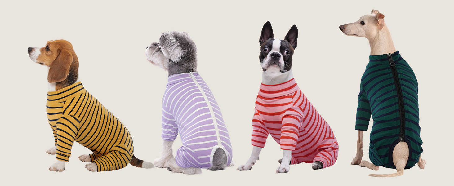 Корсет для собак після операції, після кастрації, для собак, з ніжками, піжама для маленьких та середніх собак, зелений XS