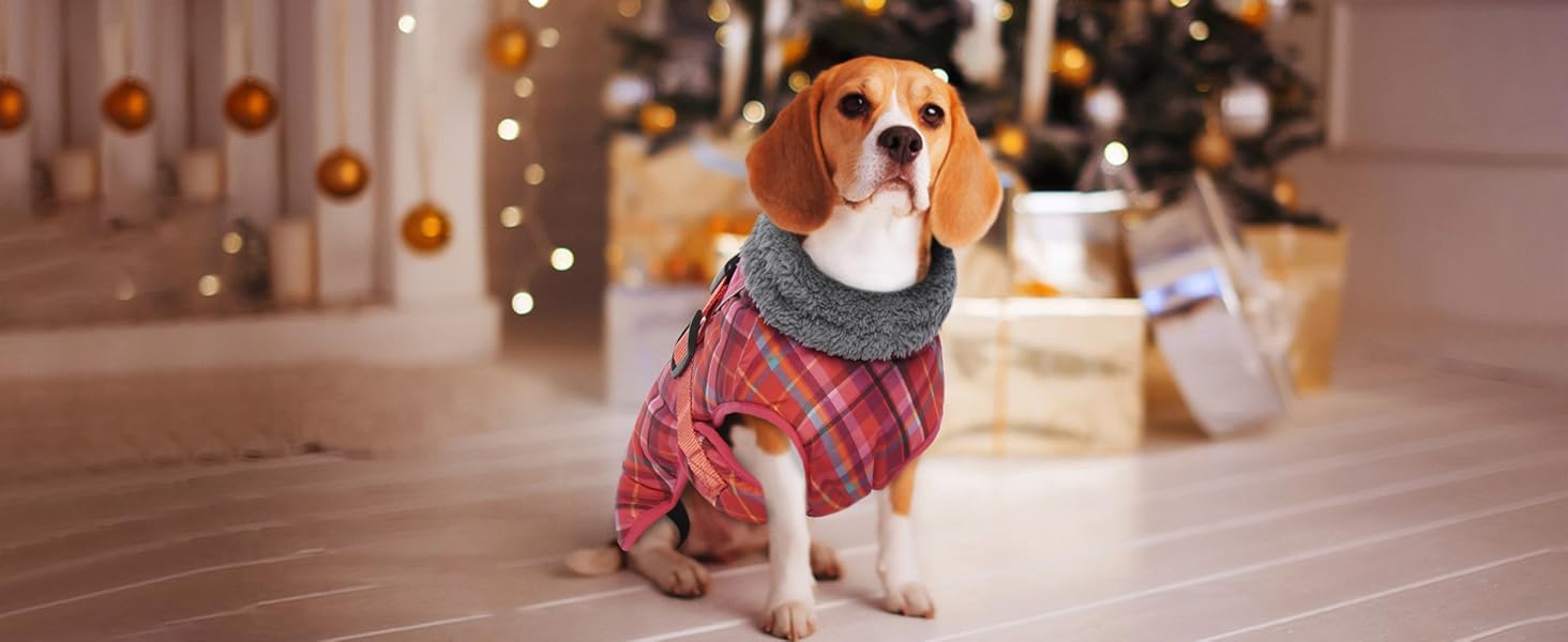 Водонепроникний зимовий теплий одяг для собак - куртка для маленьких, середніх та великих собак. Теплий одяг для собак з безпечними світловідбиваючими смугами для Лабрадорів, Чихуахуа, Французьких бульдогів. Зелений камуфляж