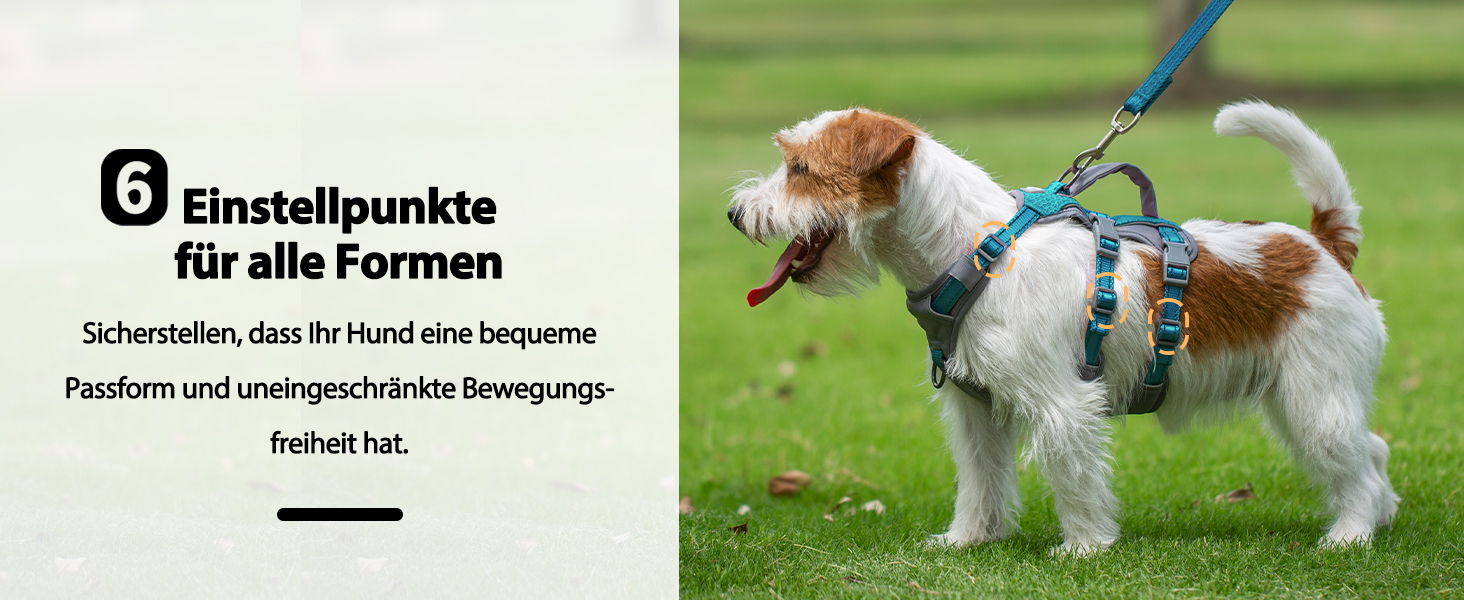 Нашийник-шлейка Huntboo для собак, анти-випадковий вихід, для панічних собак, світловідбиваючий нашийник з ручкою, регульований (S, 1 шт., блакитно-зелений)