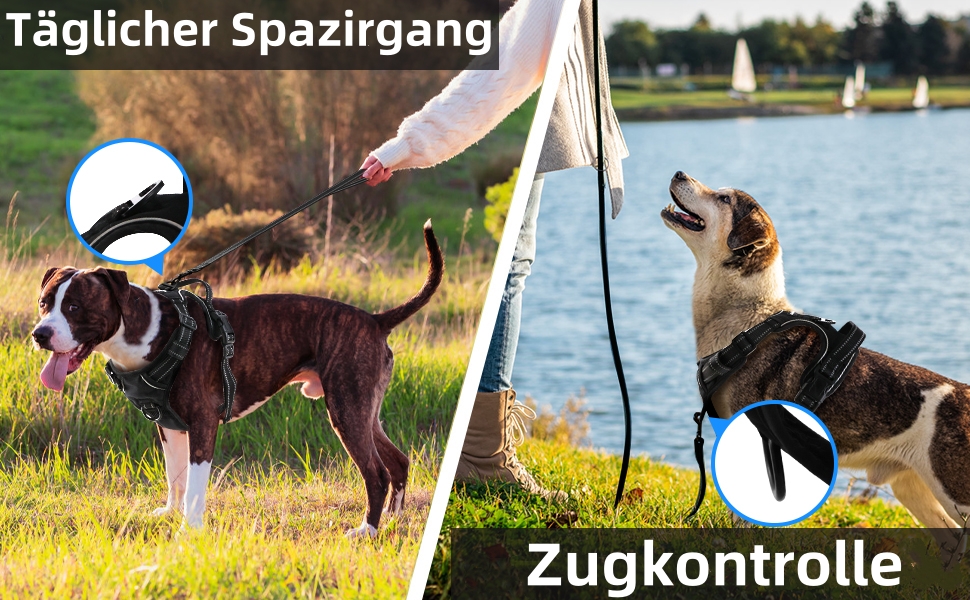 Нашийник для собак BaoCheng Anti Pull, дихаюча сітка, 3 пряжки, безпека, полегшення кашлю, світловідбиваючий, M, темно-зелений